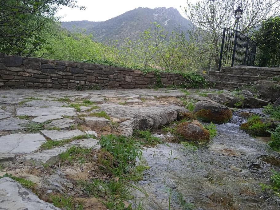 Aptm Dayma Sierra junto al río Majaceite. Benamahoma Exterior foto