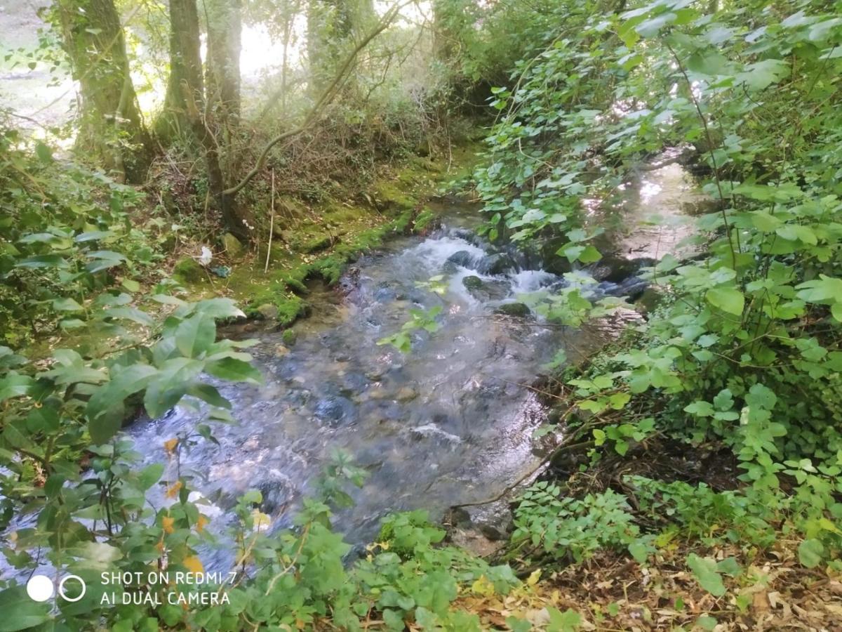 Aptm Dayma Sierra junto al río Majaceite. Benamahoma Exterior foto